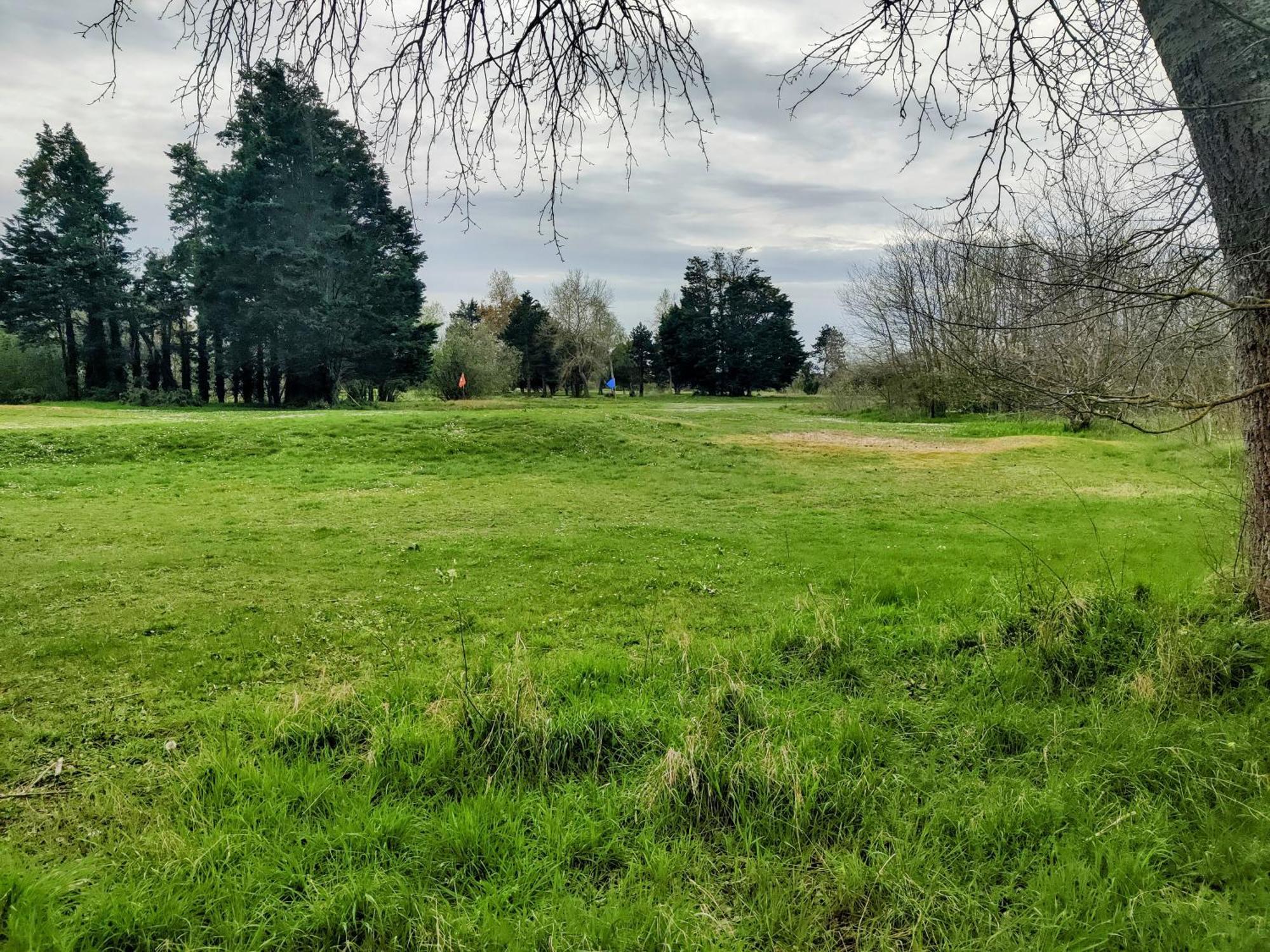 Ravissant Cottage Avec Jardin, Refait A Neuf, 2 A 5 Pers Cabourg Dış mekan fotoğraf